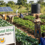 Spenden an Vereine steuerlich absetzbar